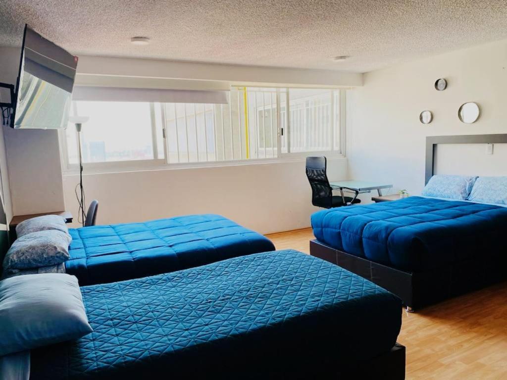 Allegro Polanco メキシコシティ エクステリア 写真